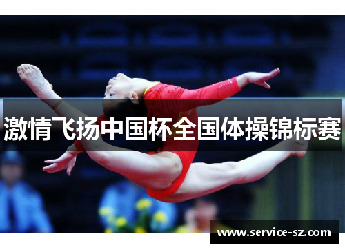 激情飞扬中国杯全国体操锦标赛