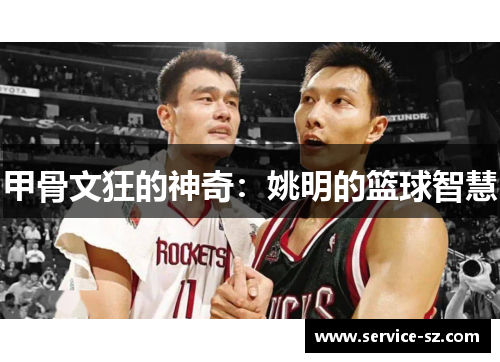 甲骨文狂的神奇：姚明的篮球智慧