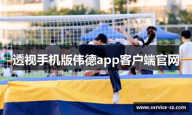 透视手机版伟德app客户端官网